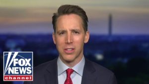 Hawley calls investigation into St. Louis gun couple an 'abuse of power'