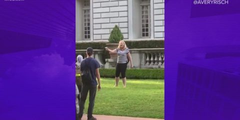 St. Louis couple confronts protesters with guns