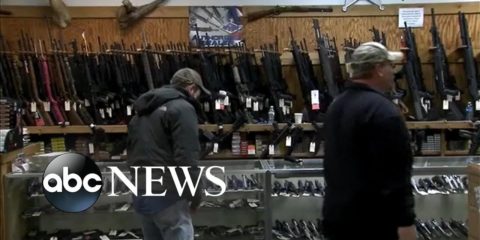 Americans Deeply Divided on Gun Control Issues