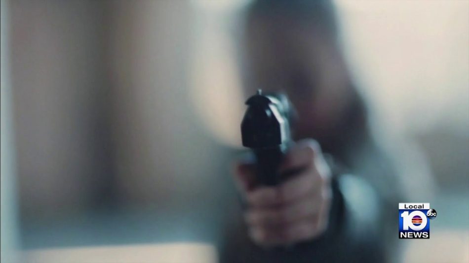 Here is what to know about Florida's new gun laws