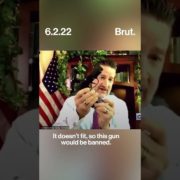 This congressman showed off his personal gun collection at a House hearing about gun legislation.