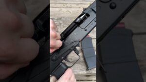 Saiga 12