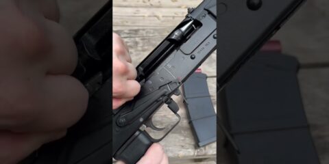 Saiga 12