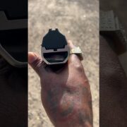 Biometric smart gun