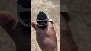 Biometric smart gun