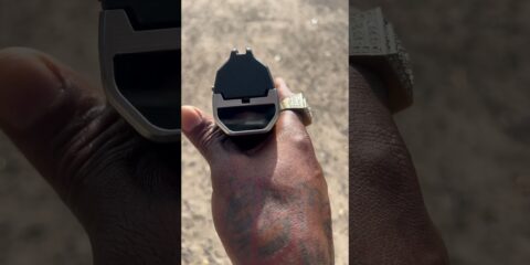Biometric smart gun