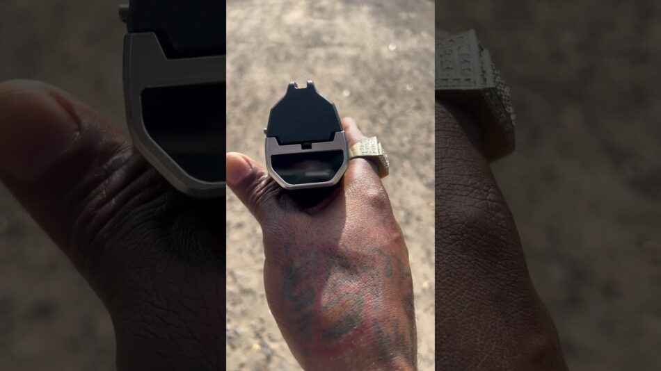 Biometric smart gun